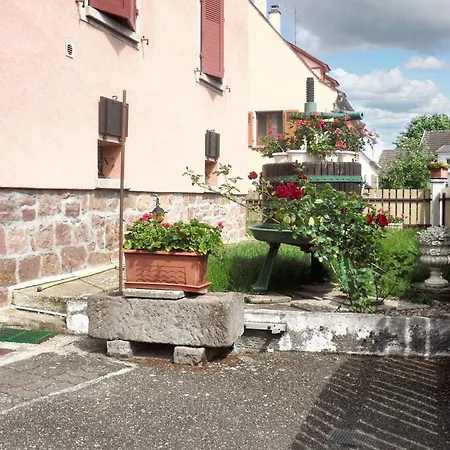 Chaleureux A Avec Terrasse Couverte Кьенцхайм
